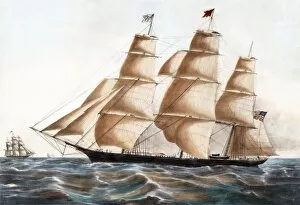 Sailing Ships Collection: Clipper Ship Young America