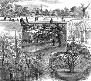 Shoe Prints: Clissold Park, Stoke Newington, London, 1885