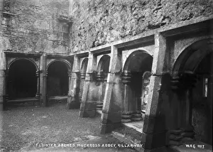 Cloisters Prints: Cloister Arches, Muckross Abbey, Killarney