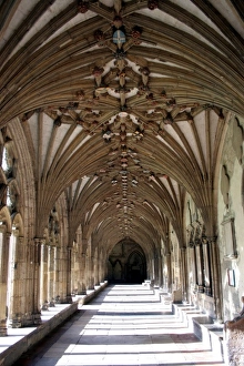 Images Dated 20th August 2011: Cloisters of Canterbury Cathedral