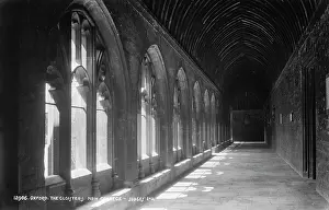 Shadows Prints: The Cloisters of New College