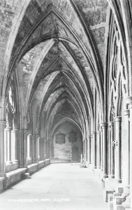 Ceilings Prints: Cloisters of Westminster Abbey