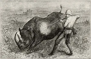 Rhinoceros Prints: A close shot in the African veldt. Date: 1885