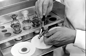 Examining Prints: Close-up of a scientist examining and testing a locust at the Anti-Locust Research Centre