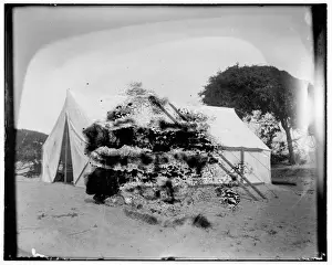 Tate Prints: Closeup view of the Wright brothers tent at Kitty Hawk, a h