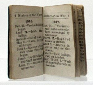 Images Dated 23rd September 2010: Cloth bound miniature History of the Great War
