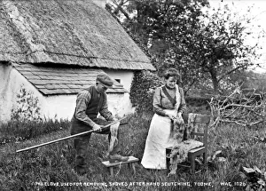 Threads Prints: The Clove, used for Removing Shoves After Hand Scutching, To