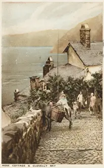 Clovelly, Cornwall - Donkey on the cobbled path
