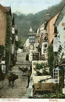Clovelly / Devon 1904