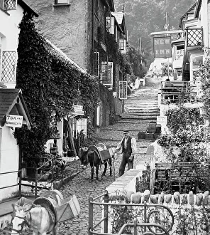 Clovelly Prints: Clovelly donkey - Victorian period