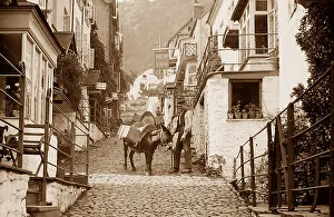 Clovelly donkey - Victorian period
