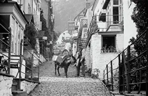Clovelly donkey - Victorian period