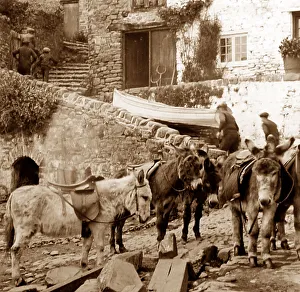 Clovelly Prints: Clovelly donkeys