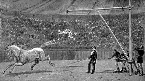 Backed Prints: Clown learning to ride bare-back horses, c. 1888