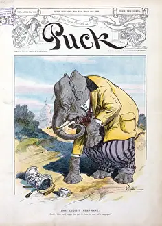 Clumsy Prints: The clumsy elephant