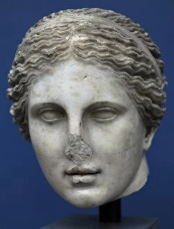 Images Dated 29th February 2012: Cnidus Aphrodite. Marble sculpture. Roman copy of the 4th