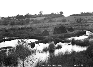 A Co. Antrim Peat Bog