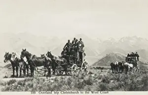 Coach and horses