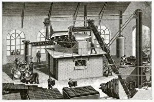 Compressed Prints: COAL / COMPRESSED FUELS