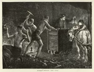 1871 Collection: Coal / Durham Pit Pony