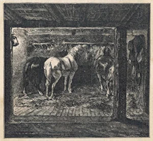 Coal/French Pit Ponies