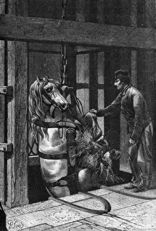 Lowering Prints: Coal / Horse / Le Creusot