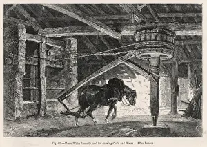 Coal / Horse Works Whim