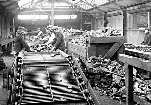 Sorting Collection: Coal Mining sorting the coal early 1900s
