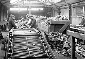 Sorting Prints: Coal Mining sorting the coal early 1900s