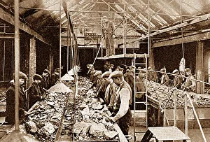 Coal picking, South Shields early 1900's