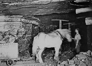 Quarrying Prints: Coal mine pit pony Victorian period