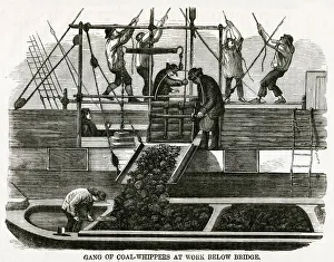 Transporting Gallery: Coal-whippers