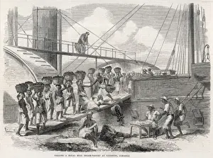 Coaling Prints: Coaling a Royal Mail steam packet at Kingston, Jamaica