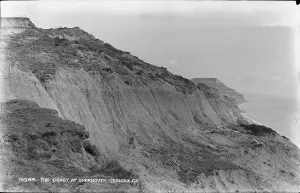 The Coast at Charmouth