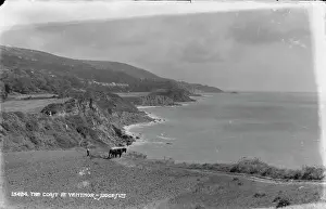 Ventnor Prints: The Coast at Ventnor
