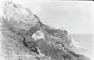 Coastal Cliffs at Branscombe