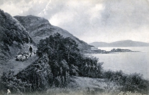 Aberdovey Gallery: Coastal Path, Aberdovey, Gwynedd