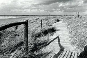 Posts Prints: Coastal path in West Sussex