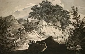 Coastal scene with rocks and trees