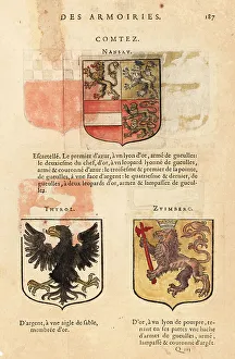 Tyrol Prints: Coat of arms of the Counties of Nassau, Tyrol, and Zuimberc