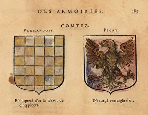 Coat of arms of the Counts of Vermandois, Pigny, Livey, Pont-Yev