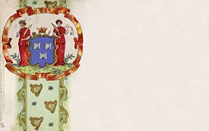 Harps Prints: The Coat of Arms of Dublin, Ireland