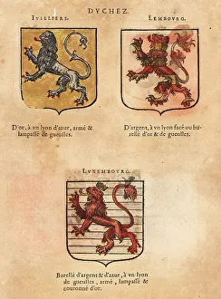 Escutcheon Prints: Coat of arms of the Duchy of Ivilliers, Lembourg and Luxemburg