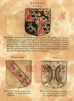 Escutcheon Prints: Coat of arms of the Duchy of Savoy with quartered arms with horses and lions