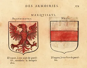 Escutcheon Prints: Coat of arms of the Margraviates of Brandenburg and Nesle