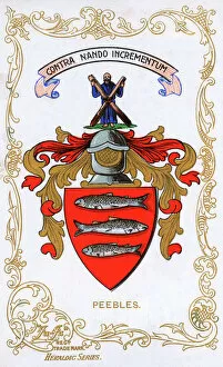 Images Dated 17th March 2016: The Coat of Arms of Peebles