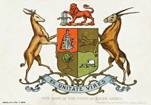 Springbok Gallery: The Coat of Arms of South Africa