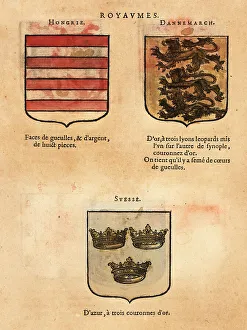 Barry Prints: Coats of arms of the Kingdoms of Hungary, Denmark and Sweden