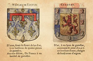 Blazon Prints: Coats of arms of the Kingdoms of Naples and Cordoba