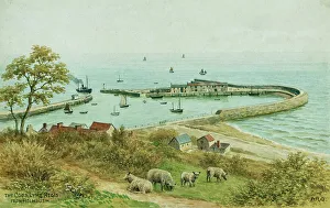 Cobb Prints: The Cobb, Lyme Regis, Dorset, viewed from Holmbush